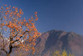 20061130_130656 Cachi e monte Bassetta.jpg